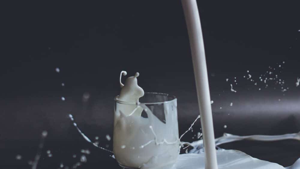 latte_lattosio