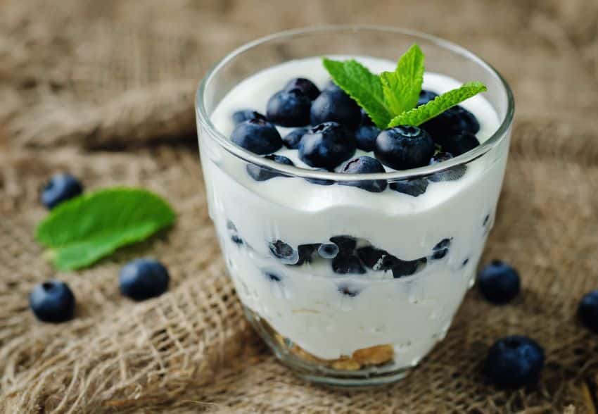 yogurt_greco_quark_senza_lattosio