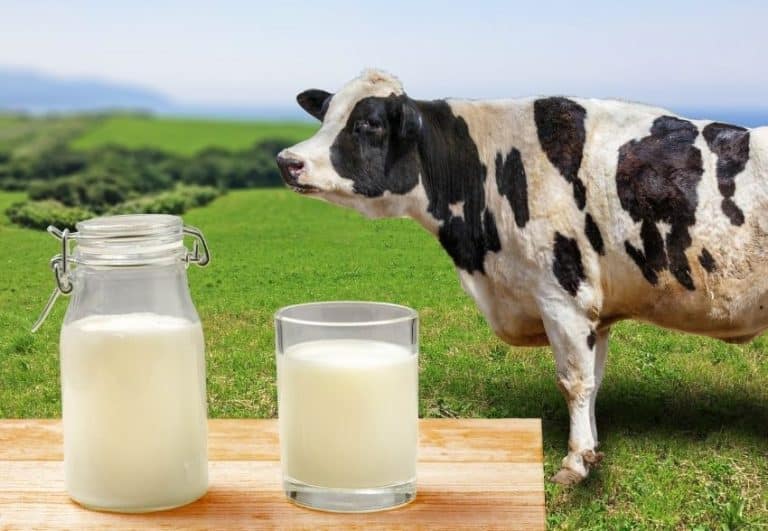 Intolleranza_latte_vaccino_cosa_evitare