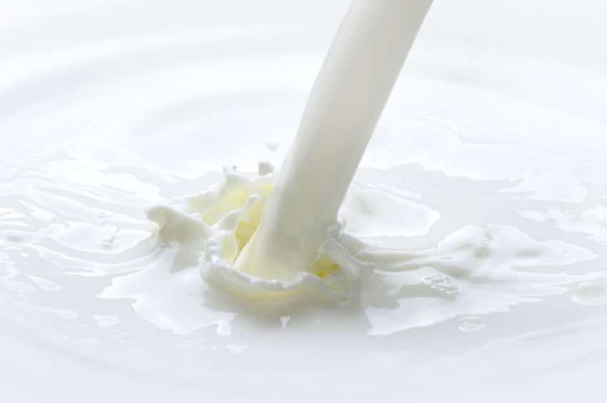 Il_latte_scremato_contiene_lattosio
